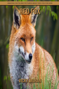 Red Fox
