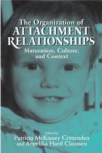 Organization of Attachment Relationships