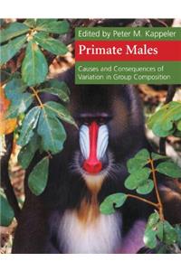 Primate Males