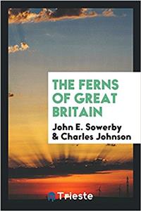 THE FERNS OF GREAT BRITAIN