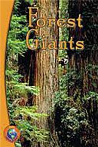 Rigby Infoquest: Leveled Reader Forest Giants