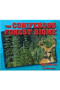 Coniferous Forest Biome