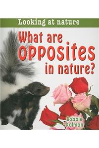 What Are Opposites in Nature?