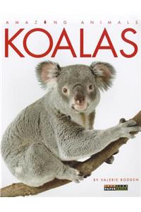 Koalas