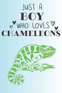 Just A Boy Who Loves Chameleons
