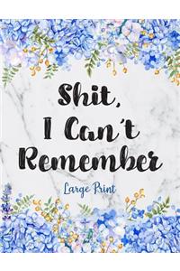 Shit I Can't Remember Large Print