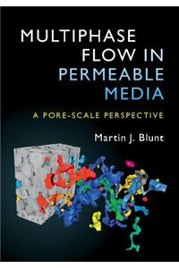Multiphase Flow in Permeable Media