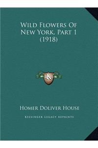 Wild Flowers Of New York, Part 1 (1918)