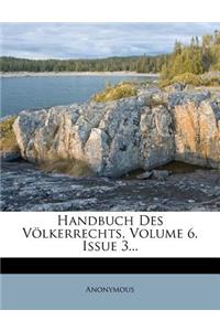 Handbuch Des Volkerrechts