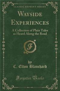 Wayside Experiences: A Collection of Plain Tales as Heard Along the Road (Classic Reprint)