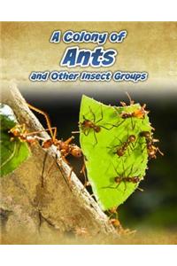 Colony of Ants