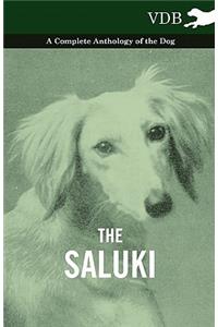 The Saluki - A Complete Anthology of the Dog