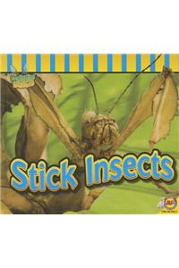 Stick Insects