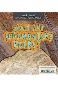 What Are Sedimentary Rocks?