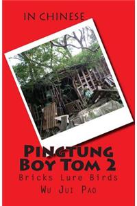 Pingtung Boy Tom 2