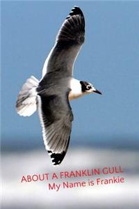 About a Franklin Gull