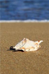 Mind Blowing Shell On The Beach Journal