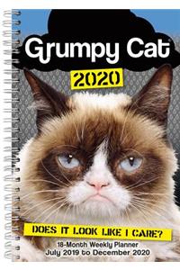 2020 Grumpy Cat 18-Month Weekly Planner