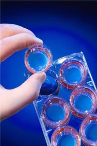 Science Theme Journal Scientist Lab Work Experiment Rubber Gloves