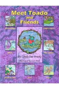 Meet Toado and Friends