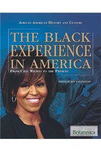 Black Experience in America