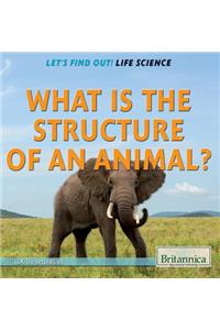 What Is the Structure of an Animal?