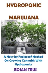 Hydroponic Marijuana