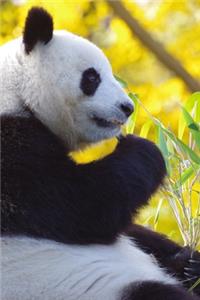 Giant Panda Bear Journal