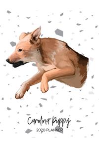Carolina Puppy 2020 Planner