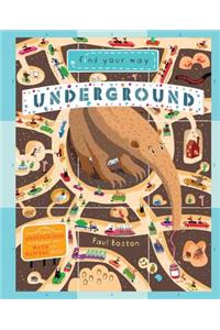 Find Your Way Underground: Travel Underground and Practice Your Math and Mapping Skills