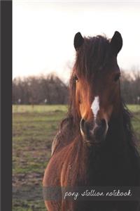 pony stallion notebook