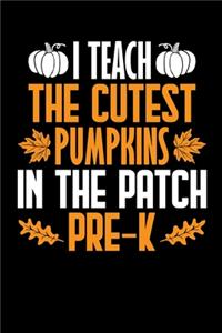 I Teach The Cutest Pumpkins In The Patch Pre-K