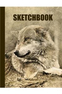 Sketchbook