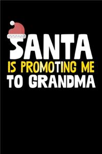 Santa Is Promoting Me To Grandma