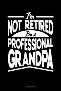 I'm Not Retired I'm a Professional Grandpa