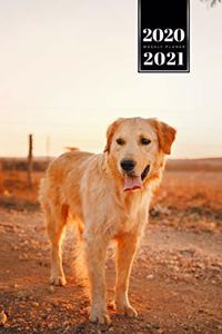 Golden Retriever Dog Calendar Week Planner 2020 / 2021 - Short Sunset Walk