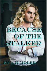 Because of the Stalker