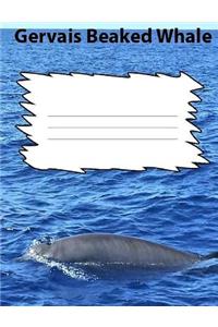 Gerva's Beaked Whale College Ruled Line Paper Composition Book