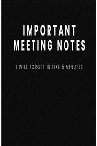 Important Meeting Notes I Will Forget in Like 5 Minutes