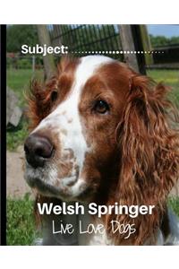 Welsh Springer - Live, Love Dogs!