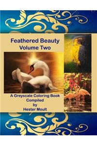 Feathered Beauty Volume Two
