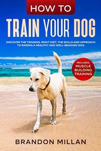How to Train your Dog