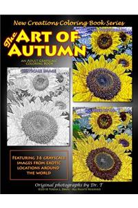 New Creations Coloring Book Series