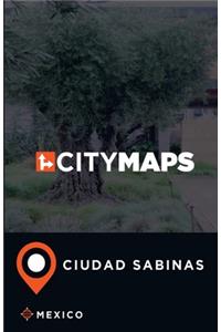 City Maps Ciudad Sabinas Mexico