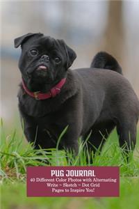 Pug Journal: Write - Sketch - Doodle, 6x9 Journal with Stunning Color Photos Inside