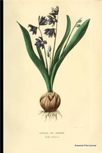 Botanical Print Journal