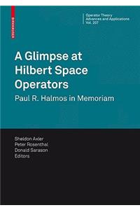 Glimpse at Hilbert Space Operators