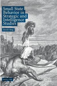 Small State Behavior in Strategic and Intelligence Studies