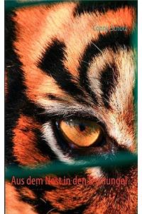 Aus dem Nest in den Dschungel