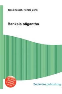 Banksia Oligantha
